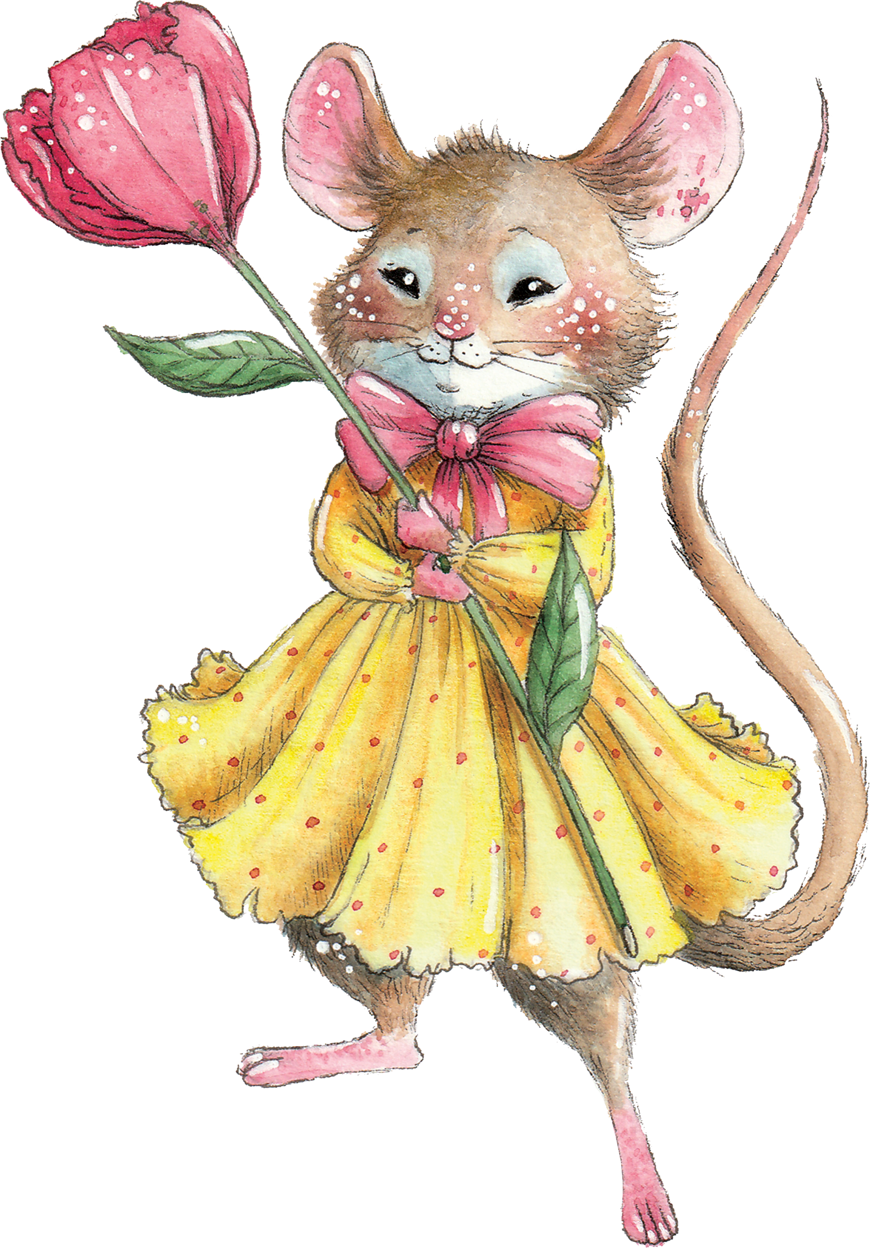 Miška Rosa